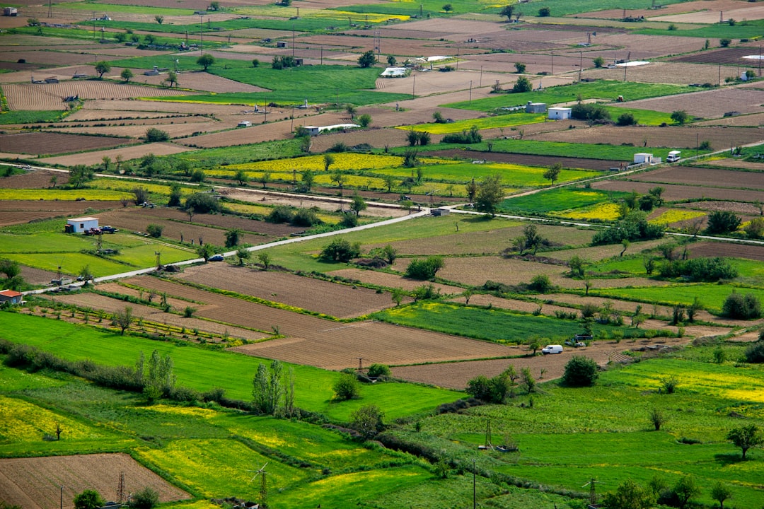 Hill Side Plots
